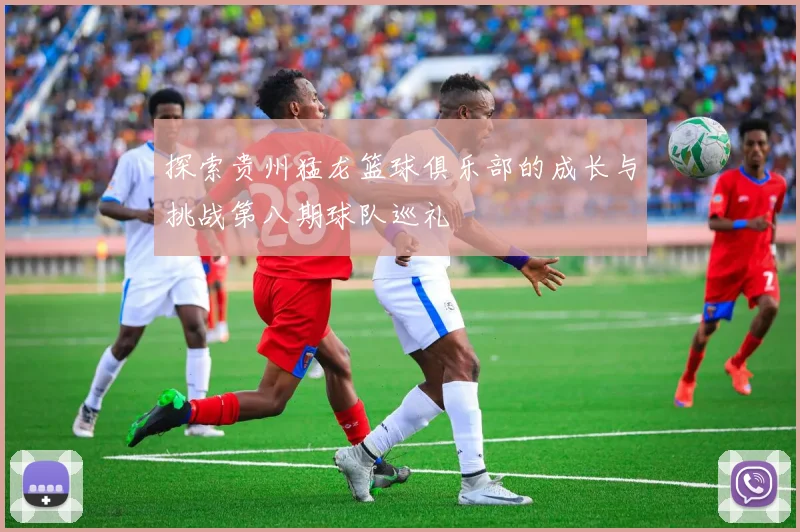 探索贵州猛龙篮球俱乐部的成长与挑战第八期球队巡礼